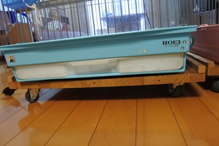 オカメインコのピコ＆ミルの日記