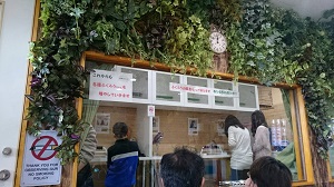 ふくろうカフェ・ピコ&ミルの日記