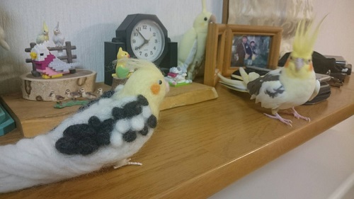 オカメインコのピコ＆ミルの日記　ピコのぬいぐるみ