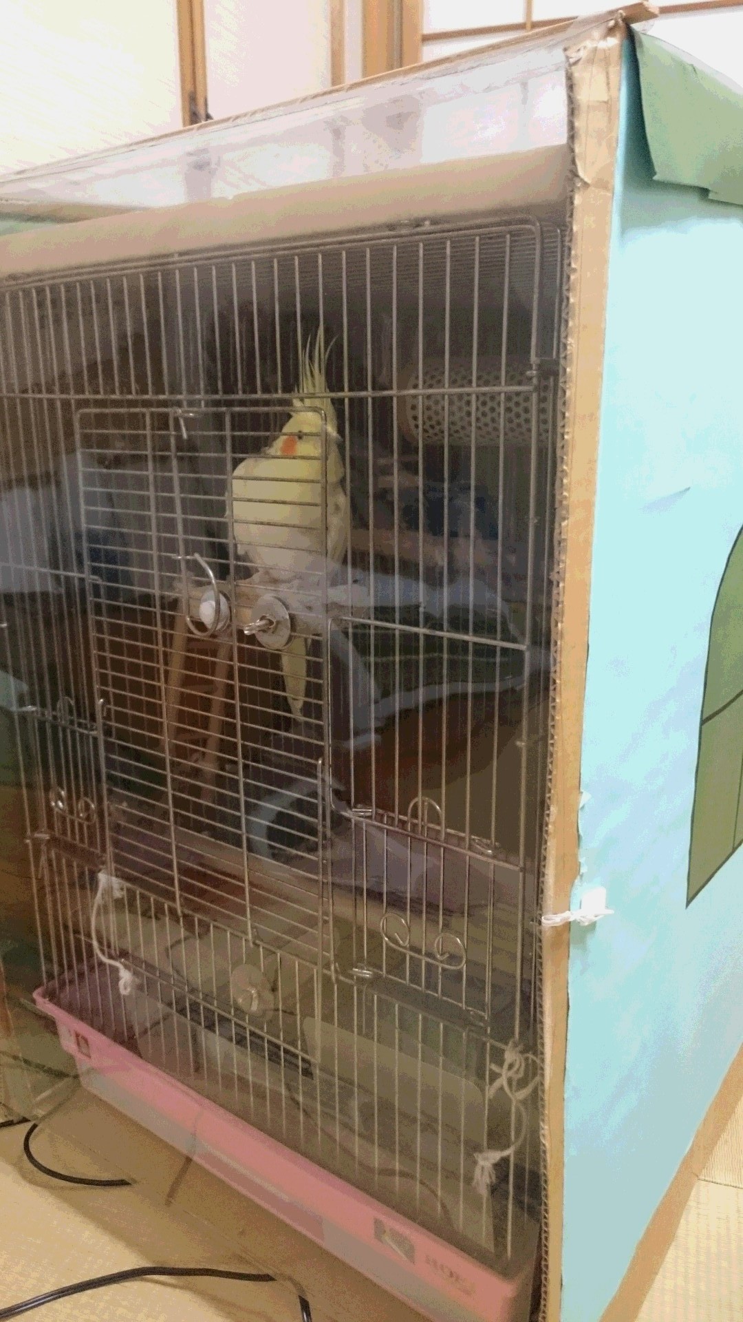 ピコ、お休み、また明日！